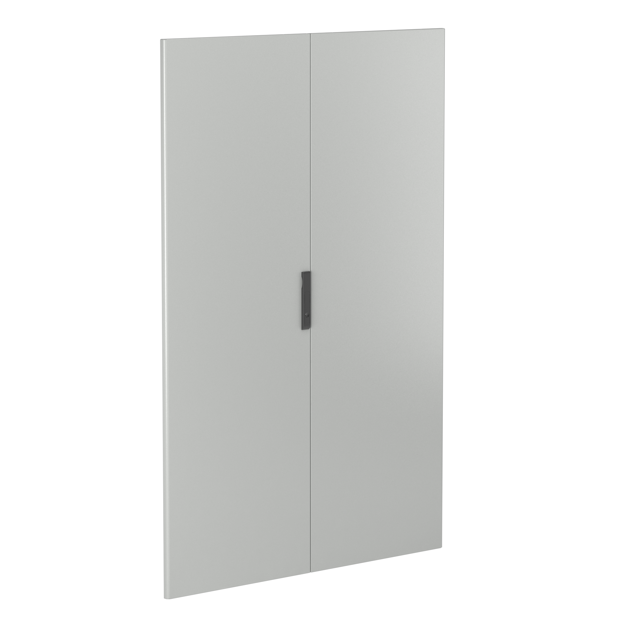 Дверь сплошная, двустворчатая, для шкафов DAE/CQE, 1800 x 800 мм